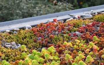 the cost of Black Bourton green roof installation